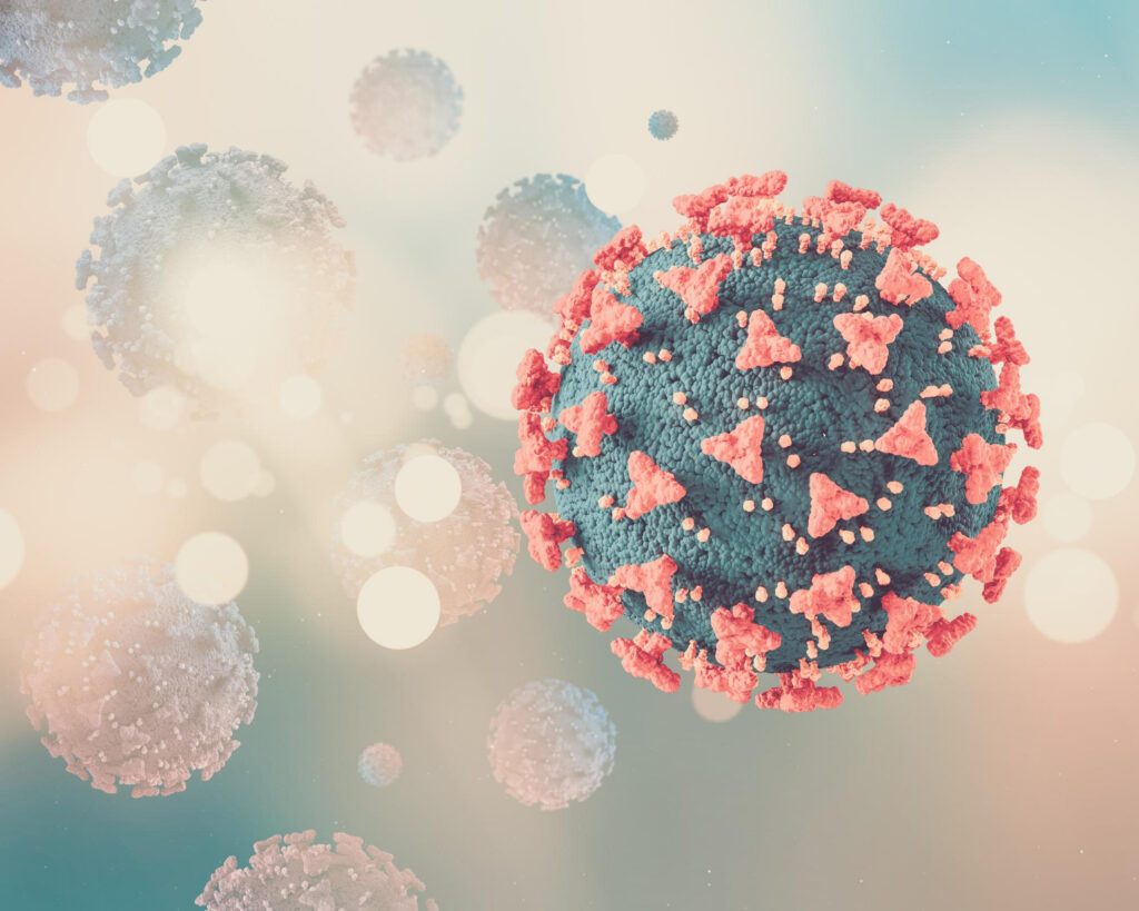 HPV e o Câncer de Colo de Útero