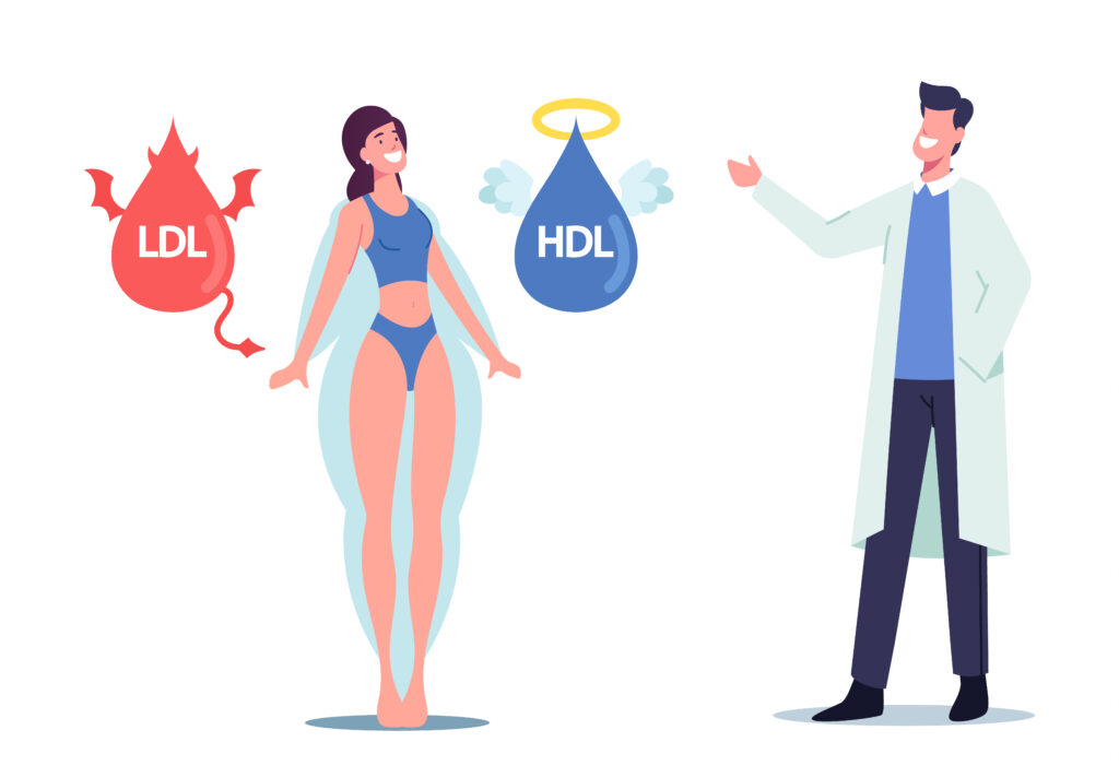 Você conhece os níveis de LDL e HDL?